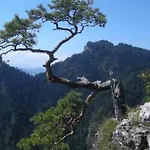 빌라 U Mai *